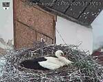 Capi_Dubne_20250527_173503.jpg