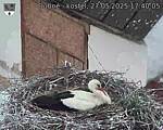 Capi_Dubne_20250527_174005.jpg