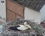 Capi_Dubne_20250527_175003.jpg
