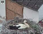 Capi_Dubne_20250527_175510.jpg