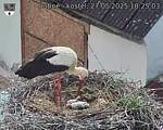 Capi_Dubne_20250527_182503.jpg