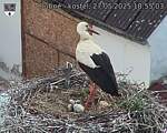 Capi_Dubne_20250527_185503.jpg