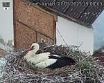 Capi_Dubne_20250527_190003.jpg