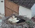 Capi_Dubne_20250527_191003.jpg