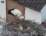 Capi_Dubne_20250527_191503.jpg