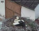 Capi_Dubne_20250527_192003.jpg