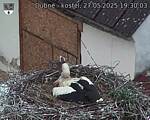 Capi_Dubne_20250527_193003.jpg