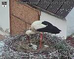 Capi_Dubne_20250527_194003.jpg