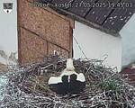 Capi_Dubne_20250527_194503.jpg