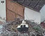 Capi_Dubne_20250527_195003.jpg