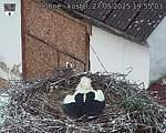 Capi_Dubne_20250527_195503.jpg