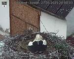 Capi_Dubne_20250527_200003.jpg