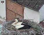 Capi_Dubne_20250527_202003.jpg