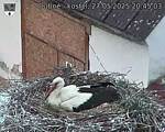 Capi_Dubne_20250527_204503.jpg