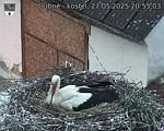 Capi_Dubne_20250527_205503.jpg