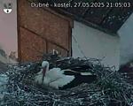 Capi_Dubne_20250527_210503.jpg