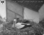 Capi_Dubne_20250527_211503.jpg