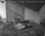 Capi_Dubne_20250527_212003.jpg