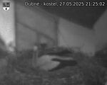Capi_Dubne_20250527_212502.jpg
