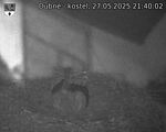 Capi_Dubne_20250527_214002.jpg