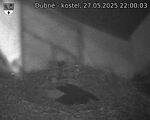Capi_Dubne_20250527_220003.jpg