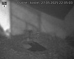 Capi_Dubne_20250527_220503.jpg