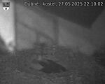 Capi_Dubne_20250527_221002.jpg
