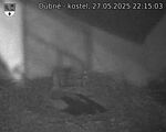 Capi_Dubne_20250527_221503.jpg