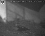 Capi_Dubne_20250527_222003.jpg