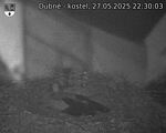 Capi_Dubne_20250527_223003.jpg