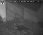 Capi_Dubne_20250527_223503.jpg