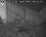 Capi_Dubne_20250527_224002.jpg