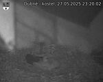 Capi_Dubne_20250527_232002.jpg