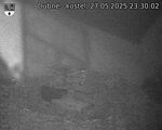 Capi_Dubne_20250527_233002.jpg