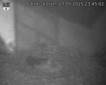 Capi_Dubne_20250527_234502.jpg