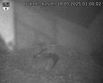 Capi_Dubne_20250528_010002.jpg