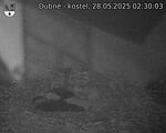 Capi_Dubne_20250528_023003.jpg