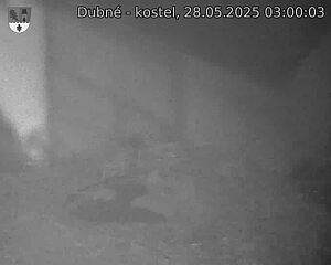 Capi_Dubne_20250528_030003.jpg (1350 x 1080)