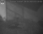 Capi_Dubne_20250528_031002.jpg