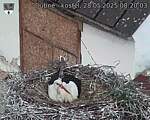 Capi_Dubne_20250528_082003.jpg