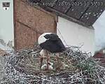 Capi_Dubne_20250528_105503.jpg