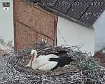 Capi_Dubne_20250528_114002.jpg