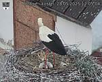 Capi_Dubne_20250528_120504.jpg