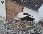 Capi_Dubne_20250528_121502.jpg