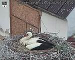 Capi_Dubne_20250528_142002.jpg