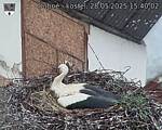 Capi_Dubne_20250528_154002.jpg