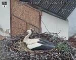 Capi_Dubne_20250528_155004.jpg