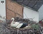 Capi_Dubne_20250528_160504.jpg
