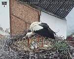Capi_Dubne_20250528_162002.jpg