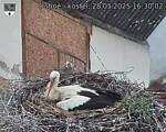 Capi_Dubne_20250528_163002.jpg